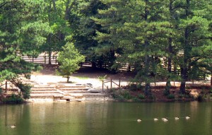 Sims Lake Park Streamscape