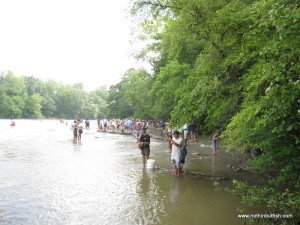 IMG_2406-1