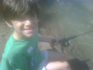 fishjack