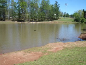 Lakeside