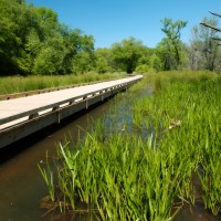 IvyCreekGreenway
