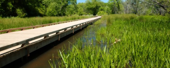 IvyCreekGreenway