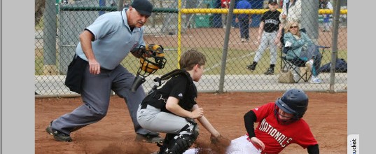 Mountain Park Athletic Association_Baseball