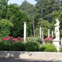 VinesGarden
