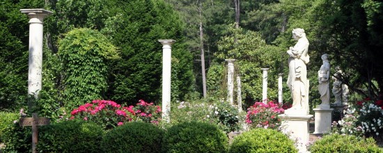 VinesGarden