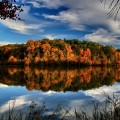 LIttle Mulberry Park