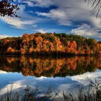 LIttle Mulberry Park