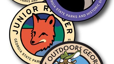 juniorranger_stateparkpatches