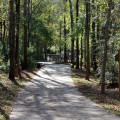 Camp Creek Greenway