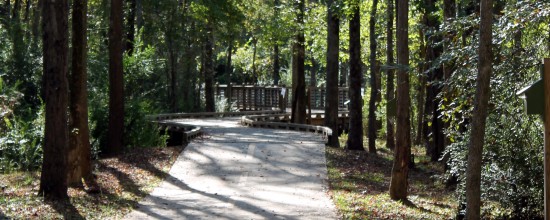 Camp Creek Greenway